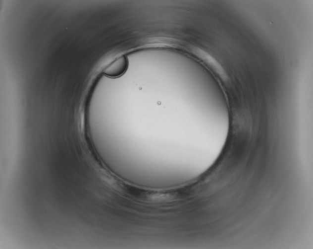 X0000114231419200910161600