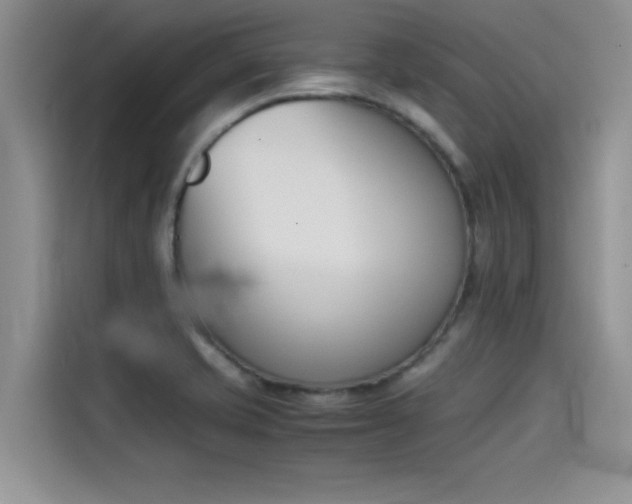 X0000114231421200910161600