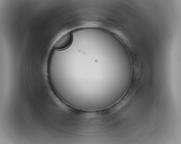 X0000114231422200910161600