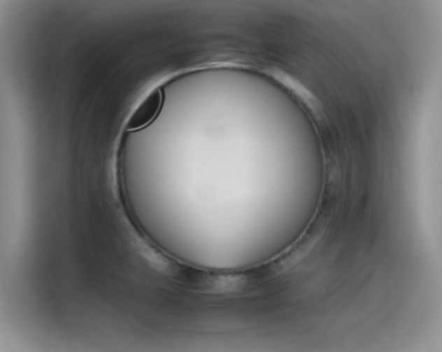 X0000114231423200910161600