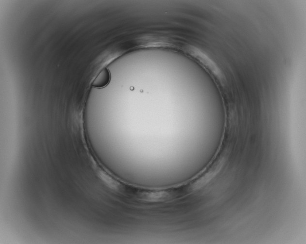 X0000114231425200910161600