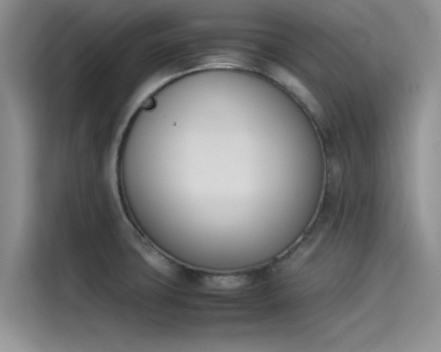 X0000114231427200910161600