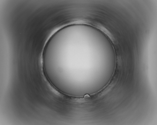 X0000114231428200910161600