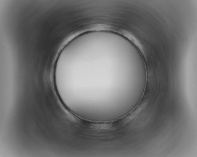 X0000114231429200910161600