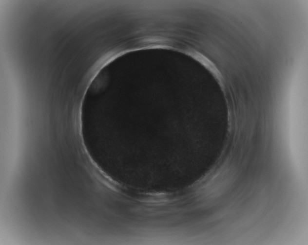 X0000114231431200910161601