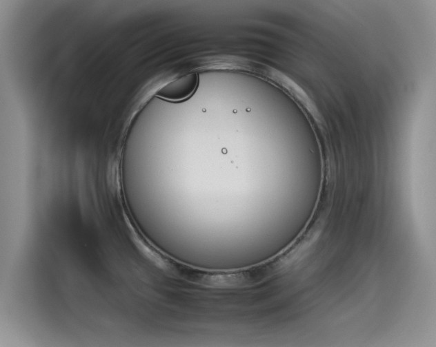 X0000114231433200910161601