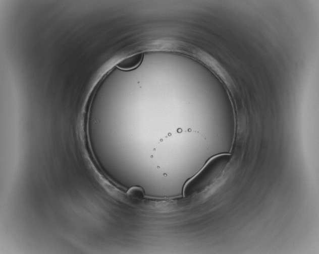 X0000114231434200910161601