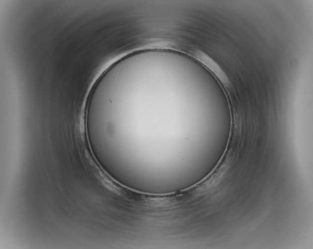 X0000114231436200910161601