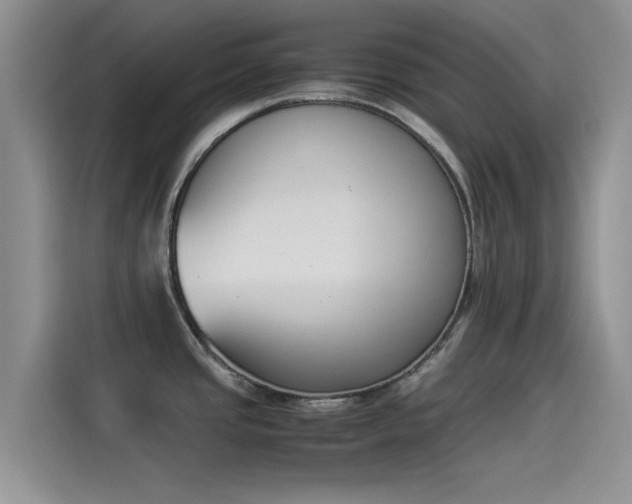 X0000114231437200910161601