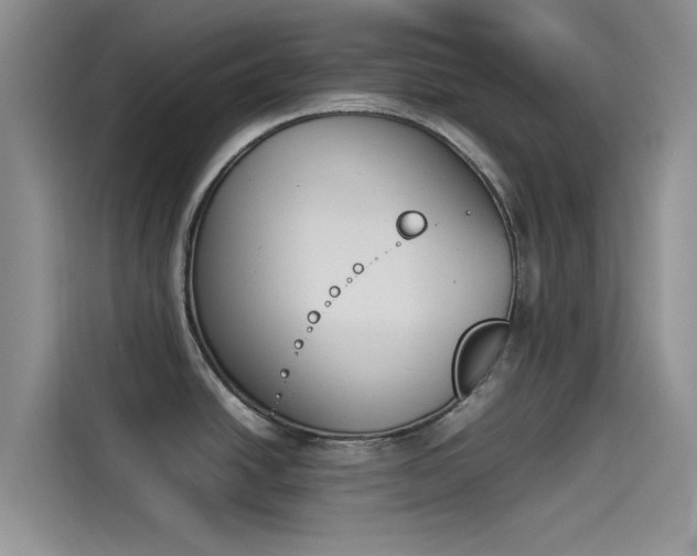 X0000114231438200910161601