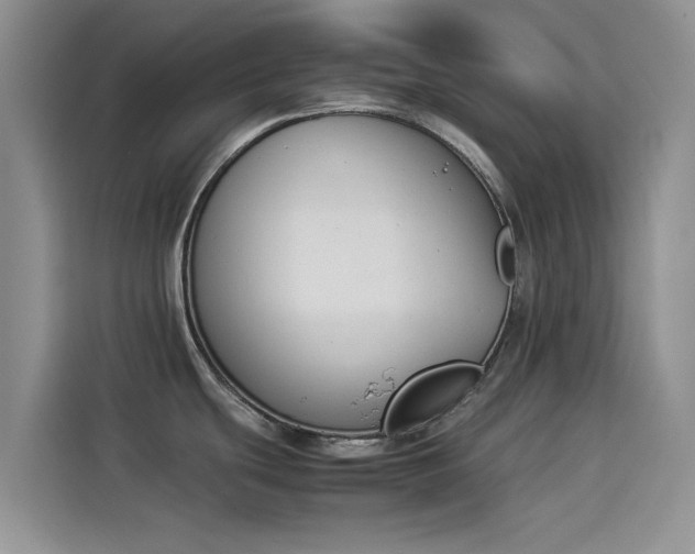 X0000114231439200910161601