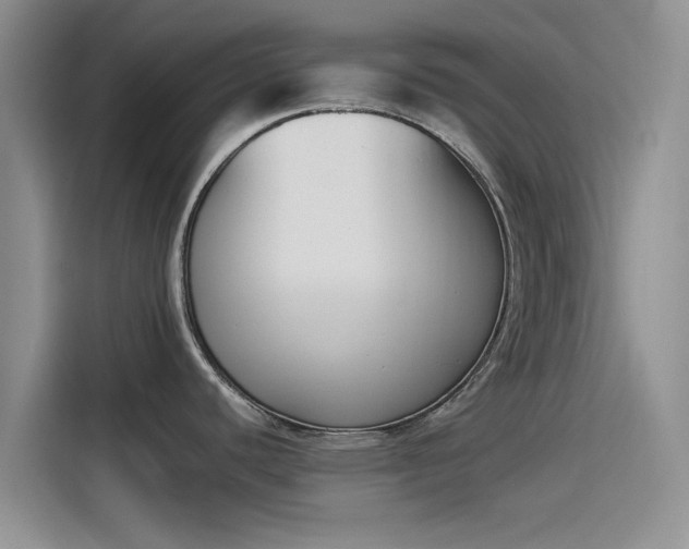 X0000114231440200910161601
