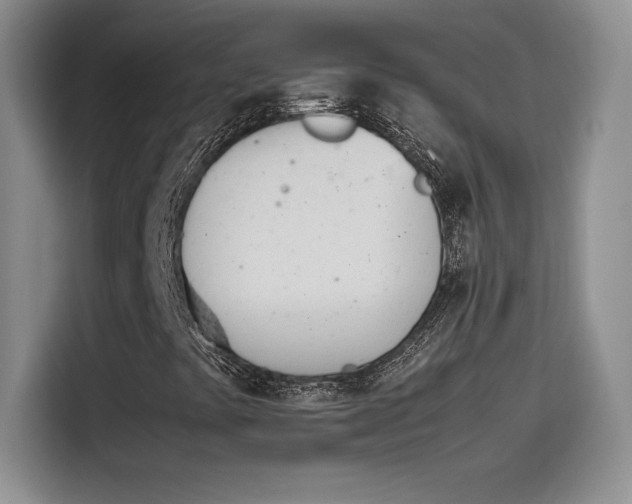 X0000114231441200910161600