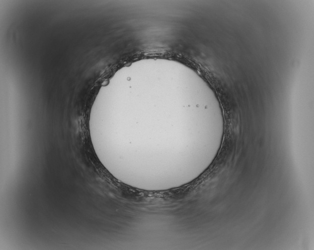 X0000114231445200910161600