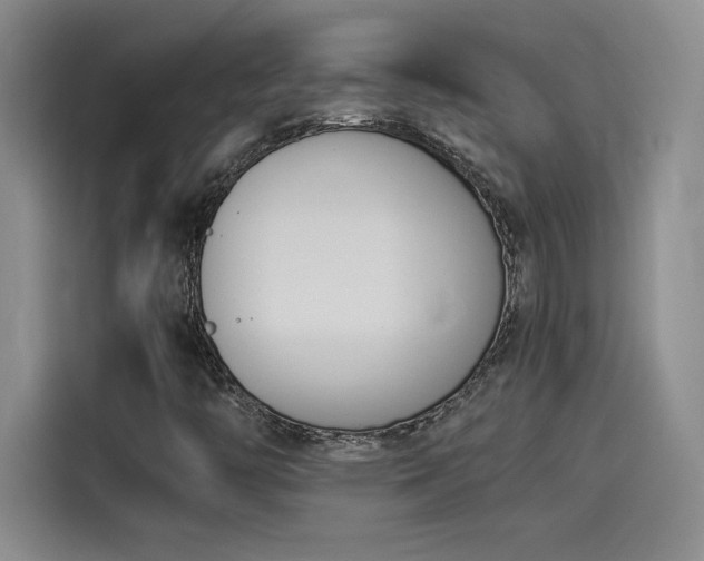 X0000114231446200910161600