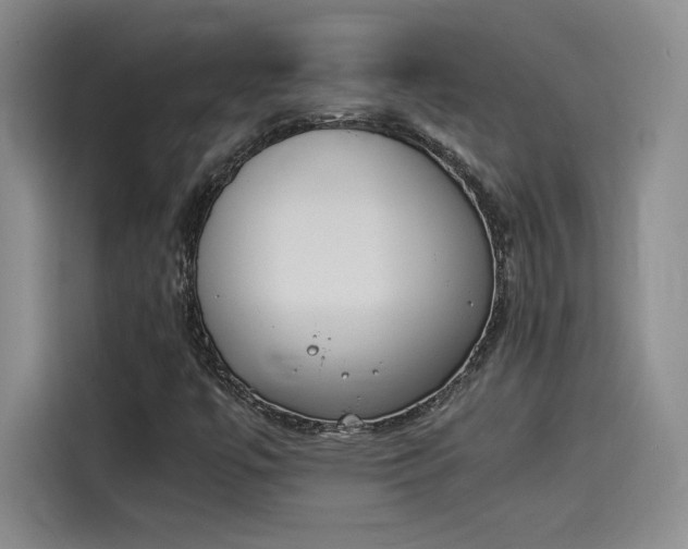 X0000114231447200910161600
