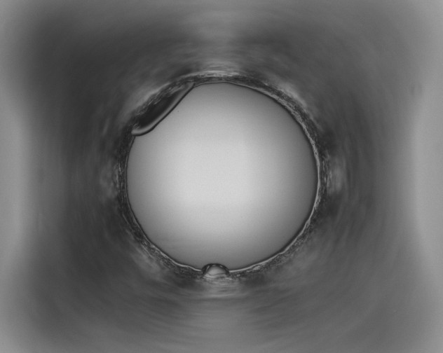 X0000114231448200910161600
