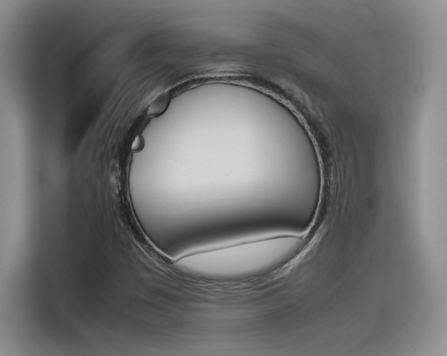 X0000114231449200910161600