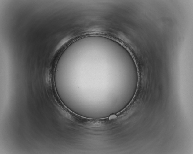 X0000114231450200910161600