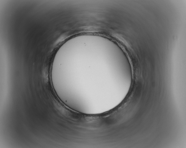 X0000114231451200910161600