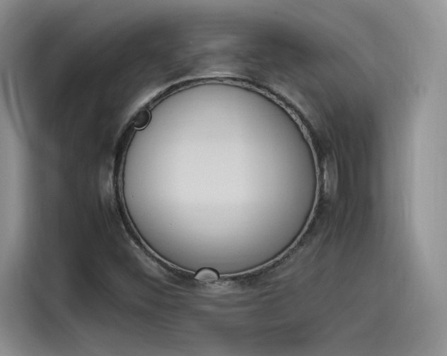 X0000114231452200910161600