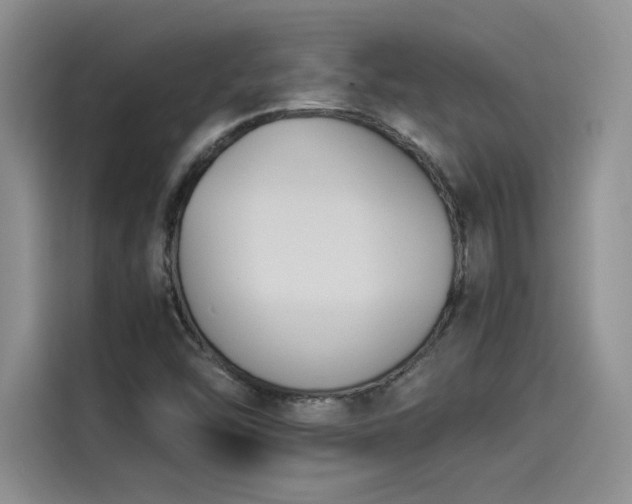 X0000114231454200910161600