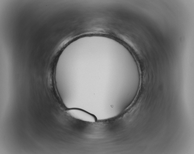 X0000114231455200910161600