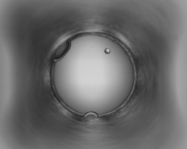 X0000114231456200910161600