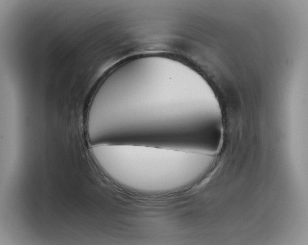 X0000114231457200910161600