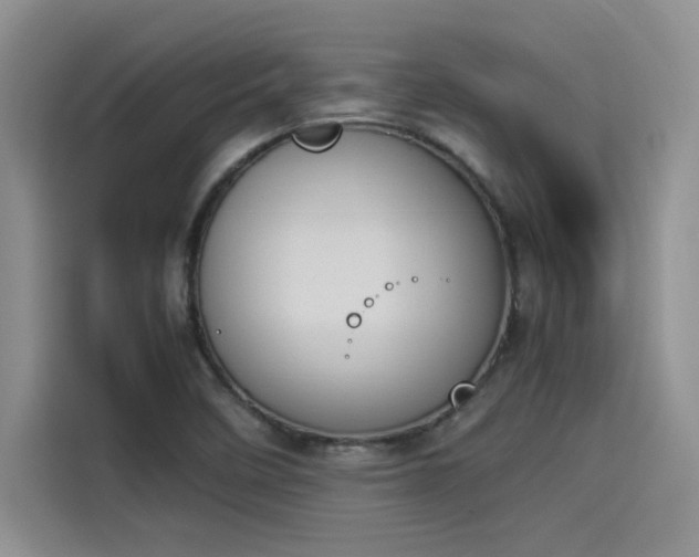X0000114231458200910161600