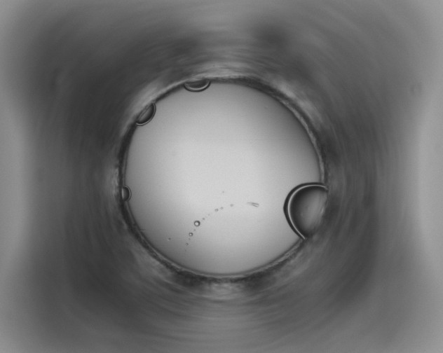 X0000114231459200910161600