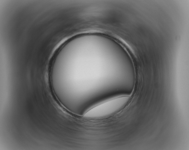 X0000114231460200910161600