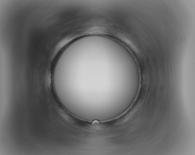 X0000114231461200910161600