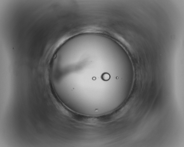 X0000114231463200910161600