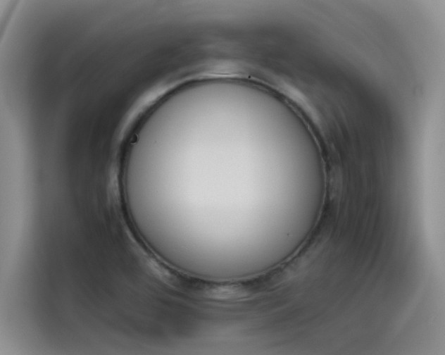 X0000114231464200910161600