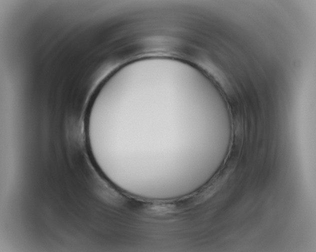 X0000114231466200910161600