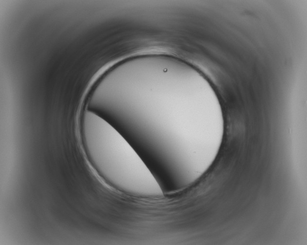 X0000114231468200910161600