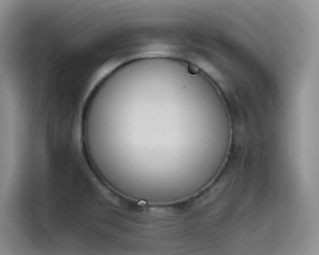 X0000114231469200910161600
