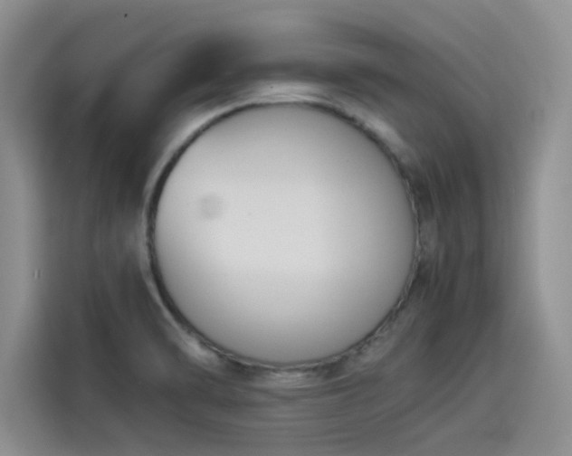 X0000114231470200910161600