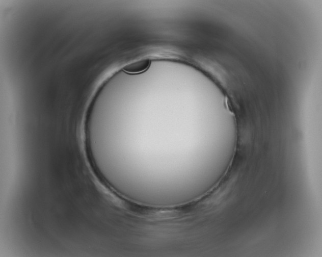 X0000114231471200910161600