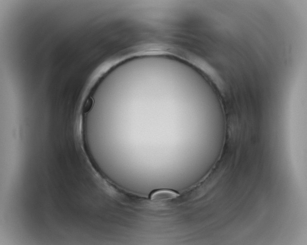 X0000114231472200910161600