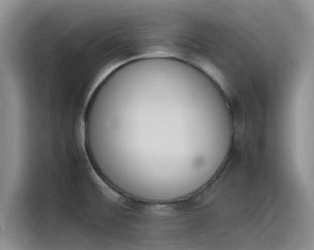 X0000114231476200910161559