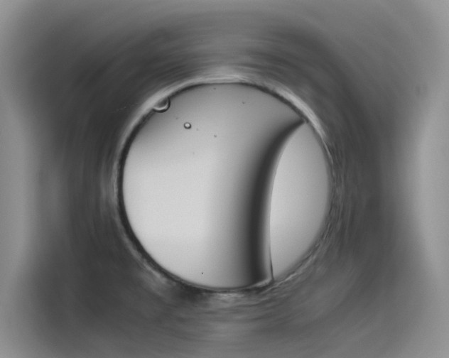 X0000114231477200910161559