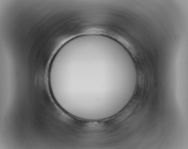 X0000114231478200910161559