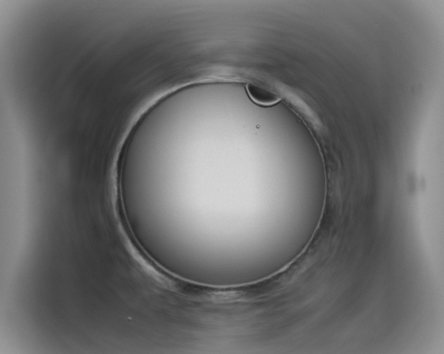 X0000114231479200910161559