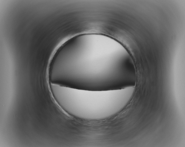 X0000114231480200910161559