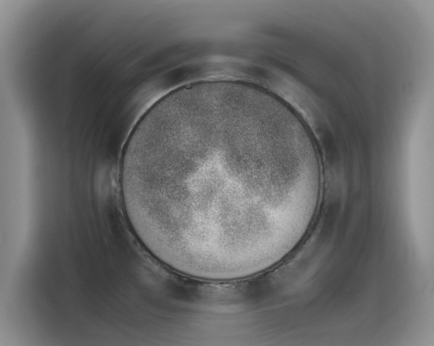 X0000114231481200910161559