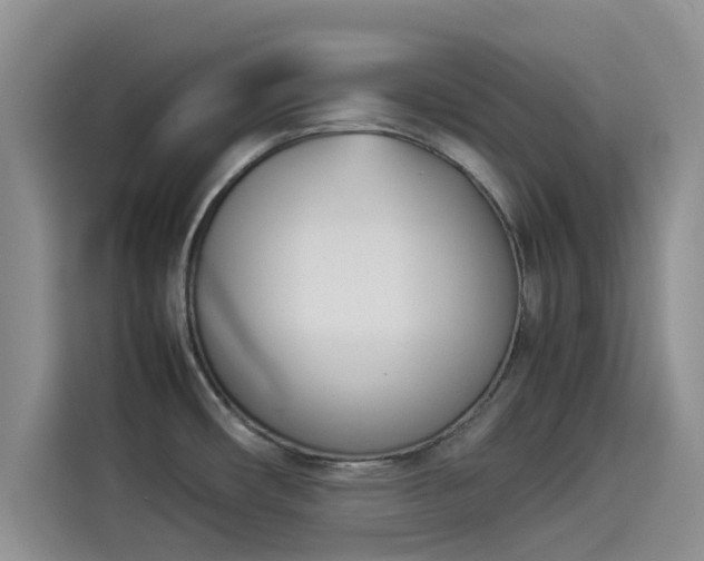 X0000114231482200910161559