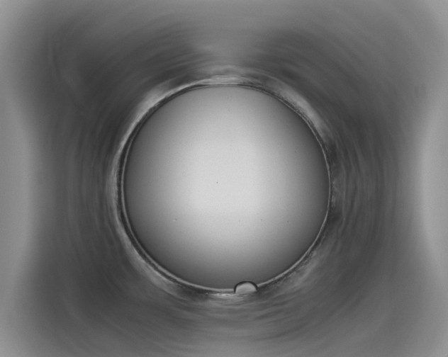 X0000114231483200910161559