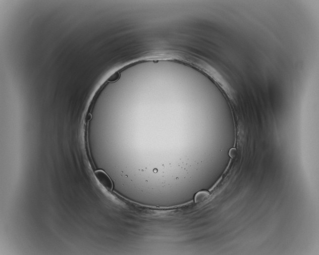 X0000114231484200910161559